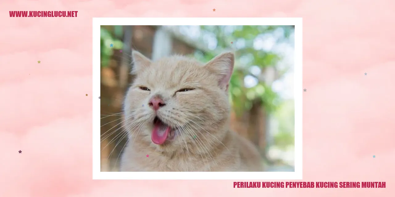 gambar kucing muntah