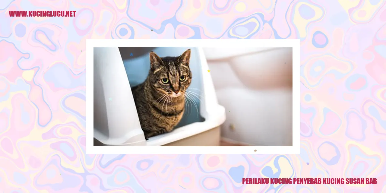 Perilaku Kucing Penyebab Kucing Susah Bab