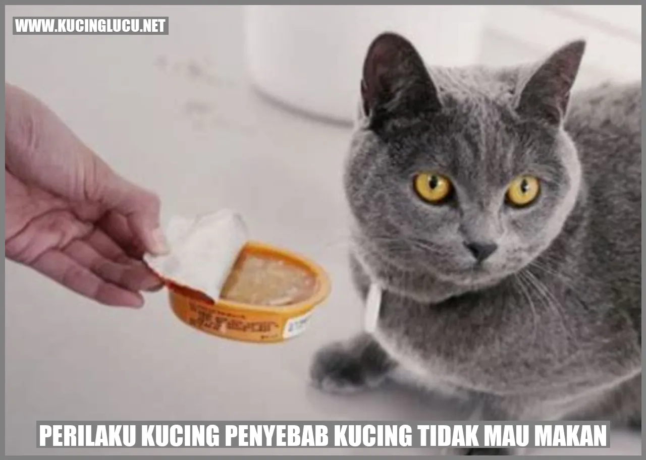 Perilaku Kucing