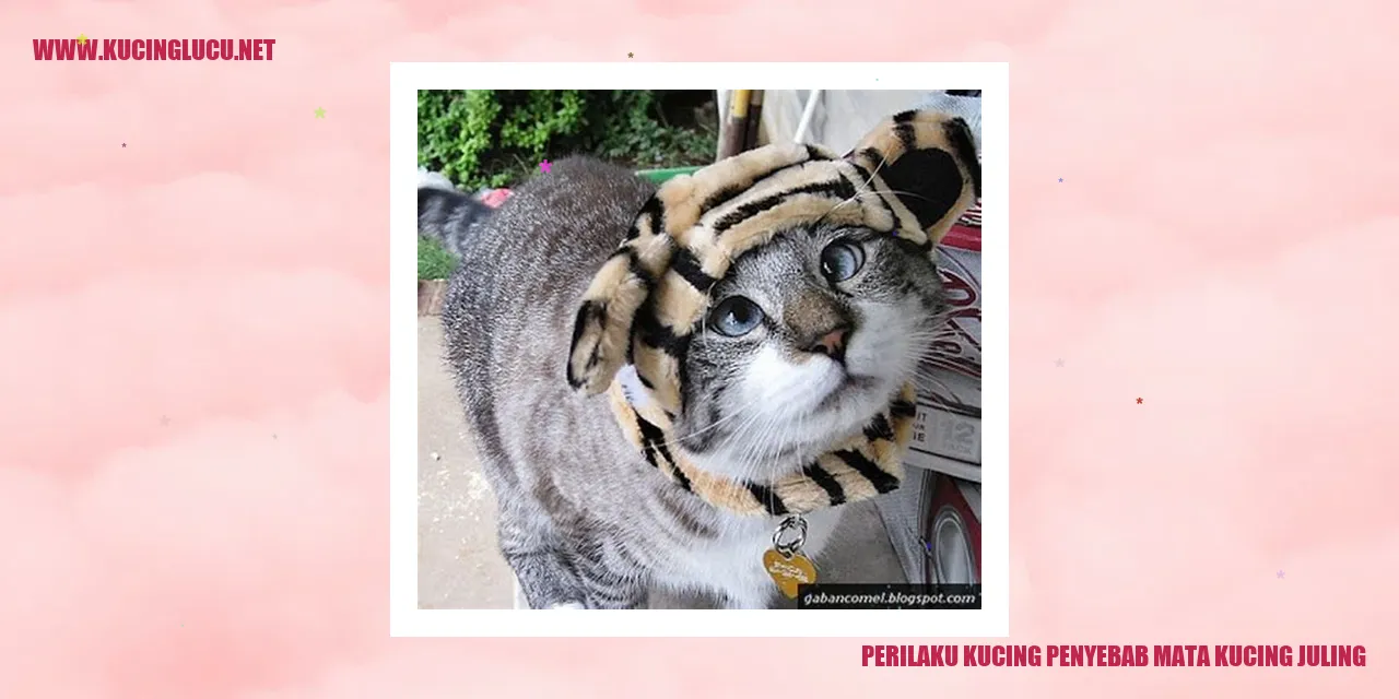 Gambar Kucing Penyebab Mata Kucing Juling