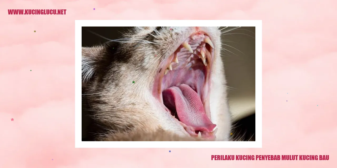Perilaku Kucing Penyebab Mulut Kucing Bau