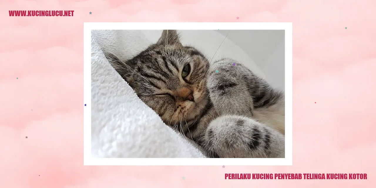 Gambar kucing dengan telinga yang kotor
