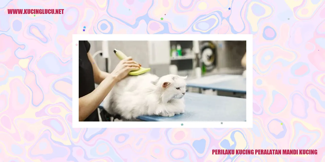 Kucing dan peralatan mandi