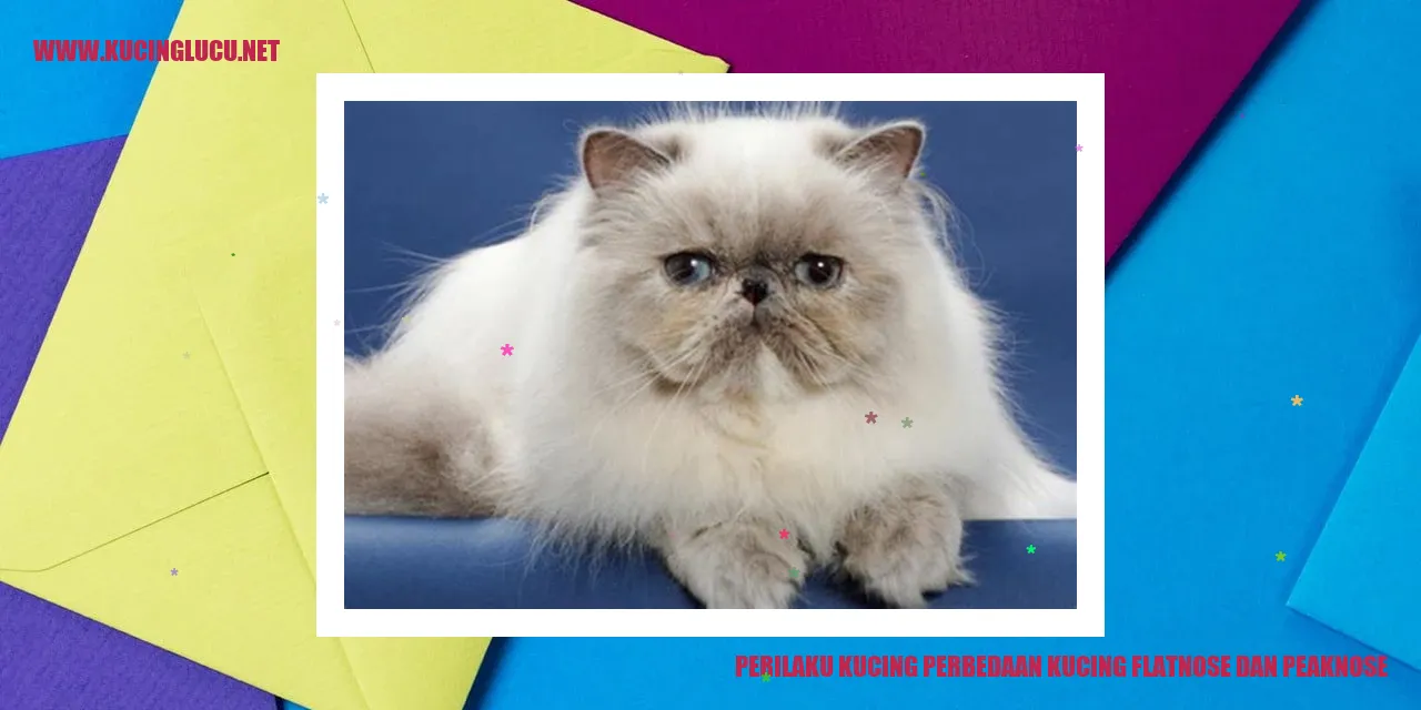 Perilaku Kucing