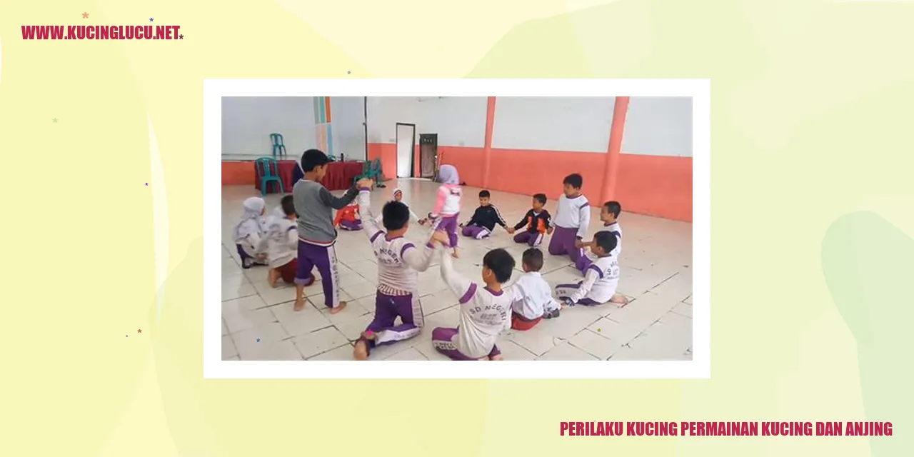 Kucing dan Anjing