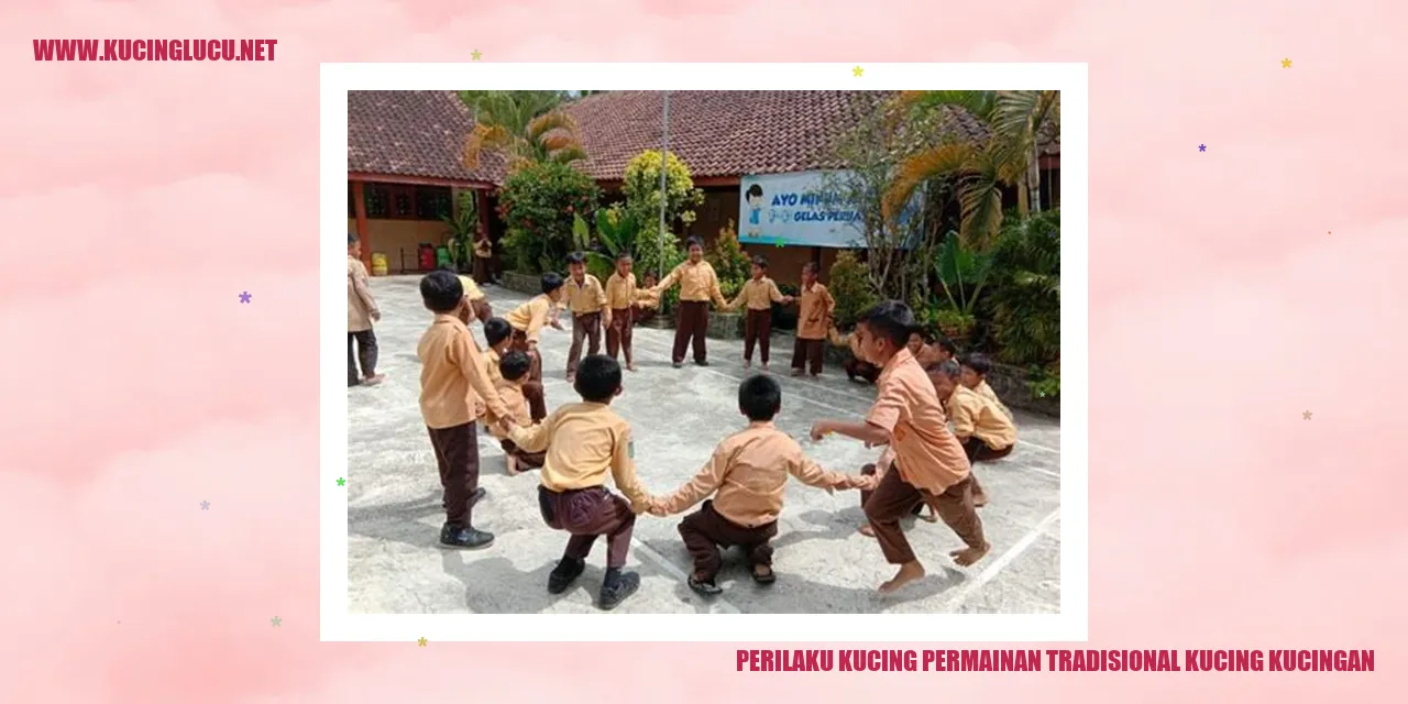 Perilaku Kucing permainan tradisional kucing kucingan