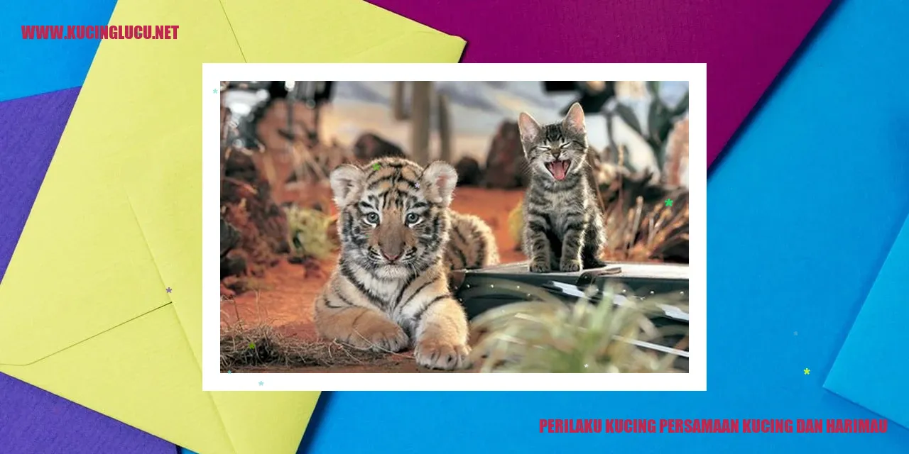 Perilaku kucing dan harimau
