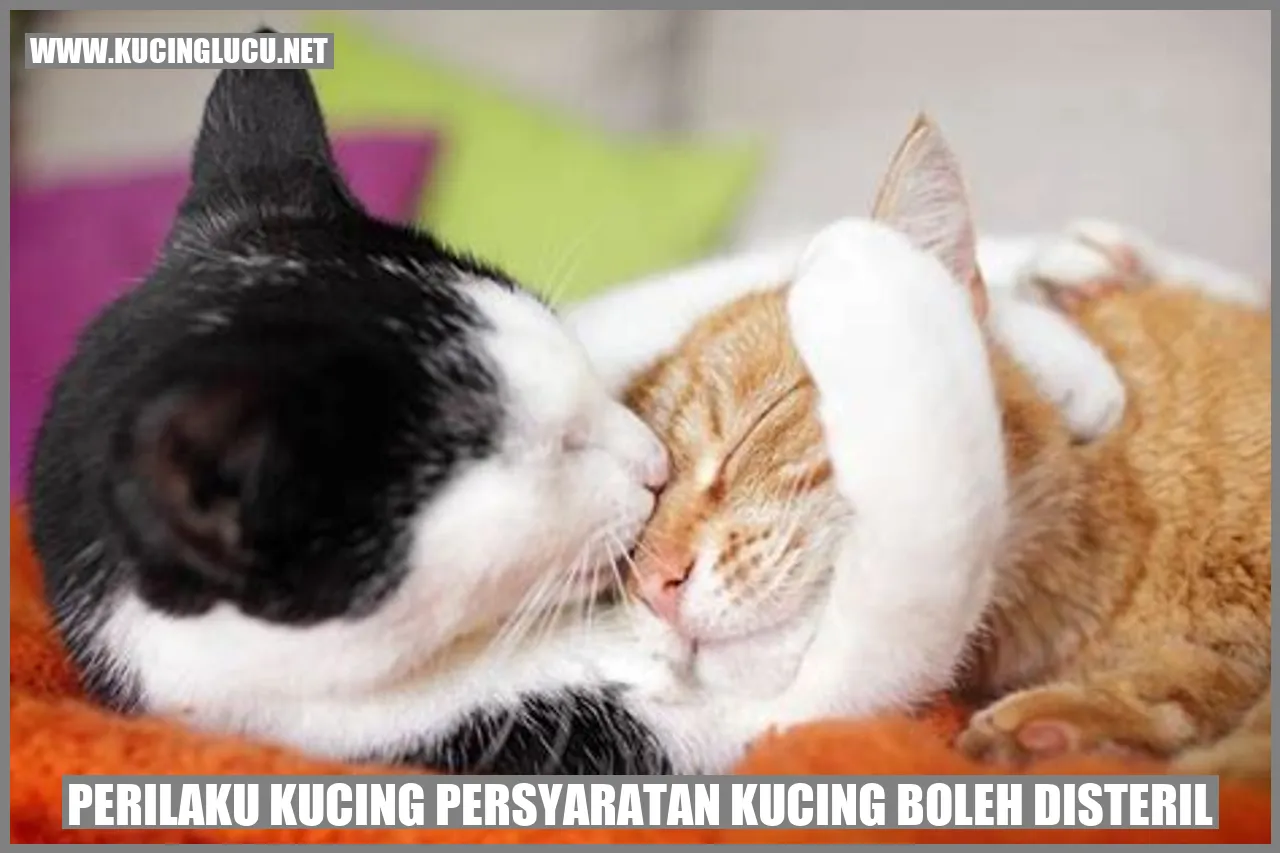 Perilaku Kucing, Persyaratan Kucing Boleh di Steril