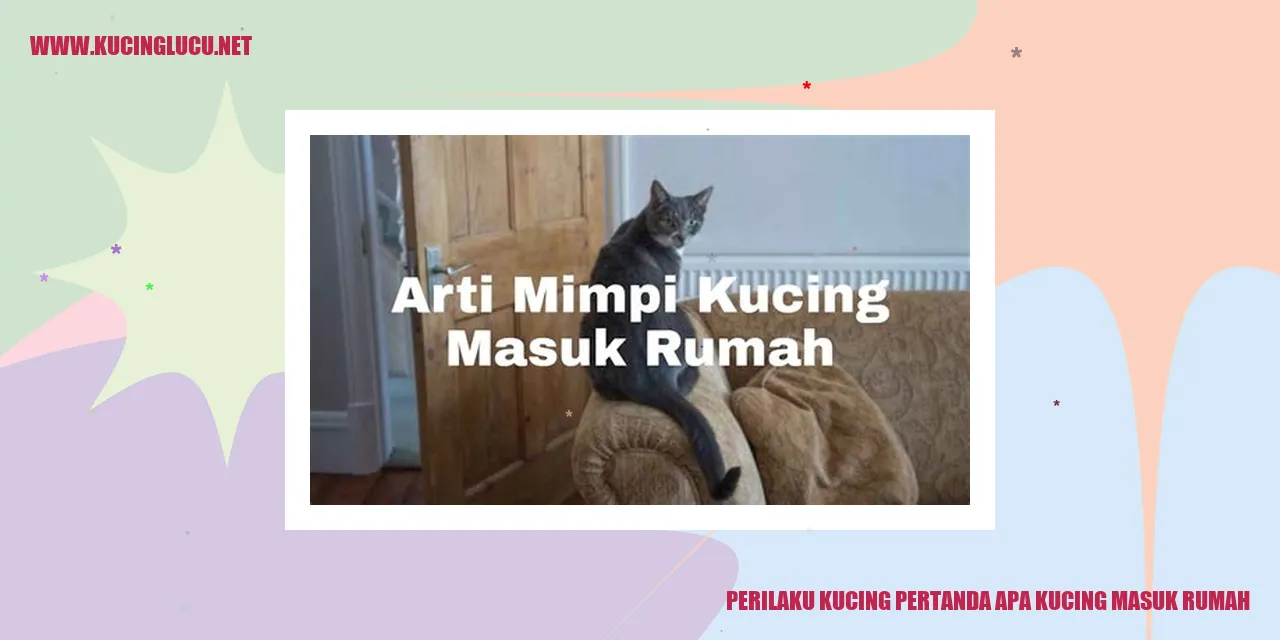 Perilaku Kucing Masuk Rumah
