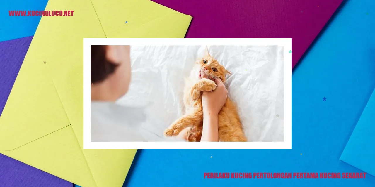 Perilaku Kucing Pertolongan Pertama
