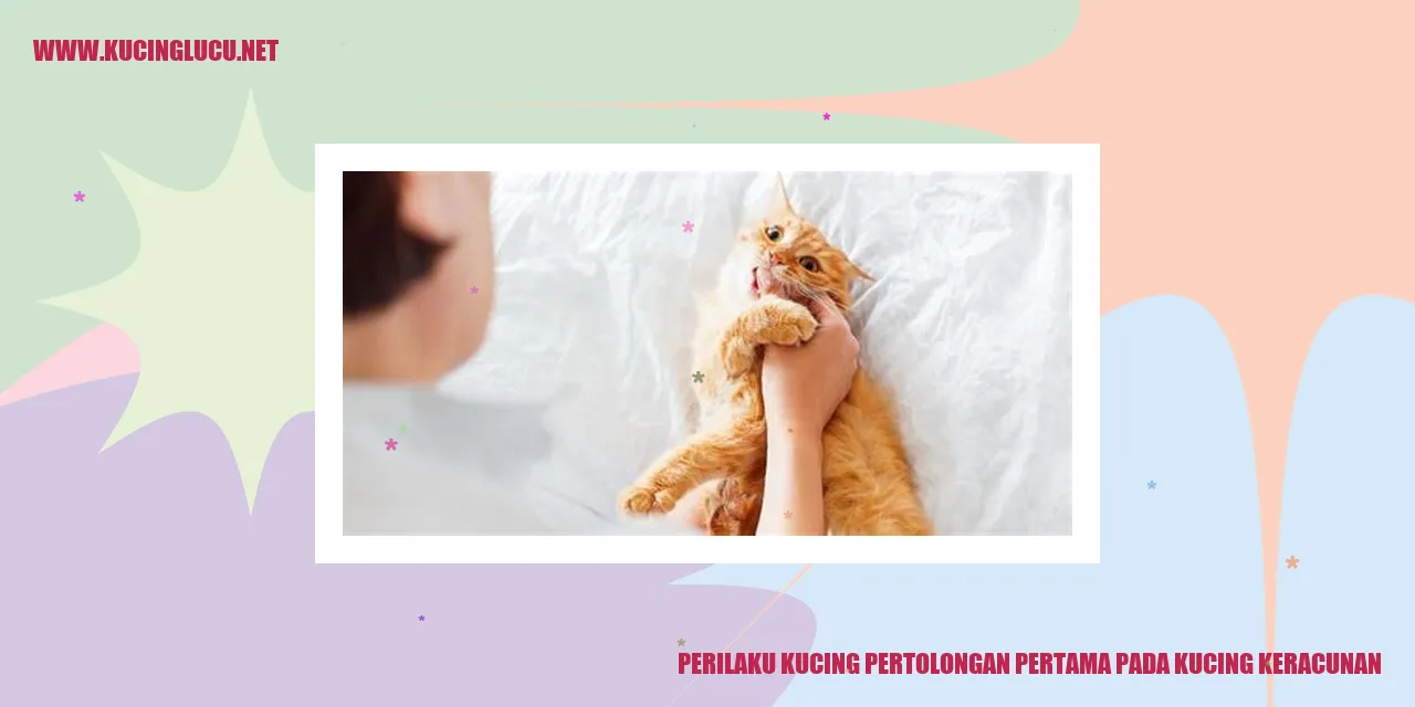 Perilaku Kucing pertolongan pertama pada kucing keracunan