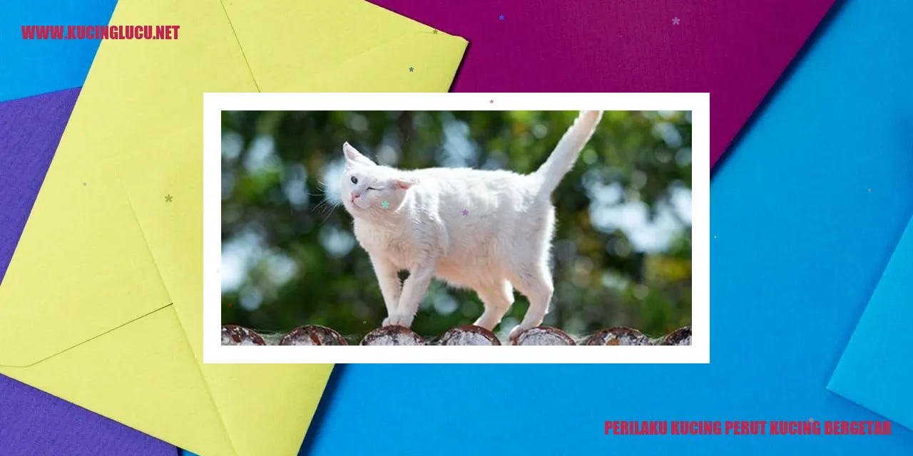 Gambar kucing bergetar