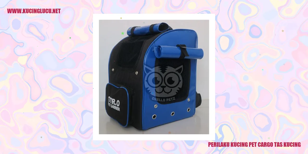 Perilaku Kucing dengan Pet Cargo Tas Kucing