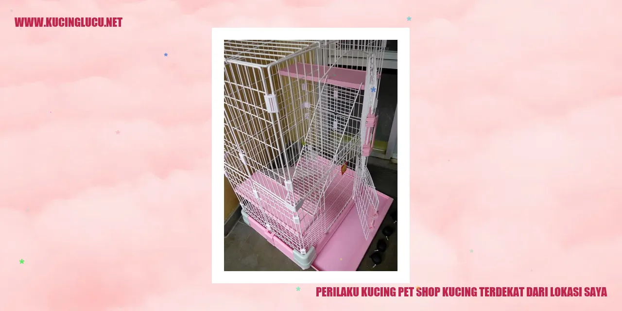 Perilaku Kucing di Pet Shop Terdekat