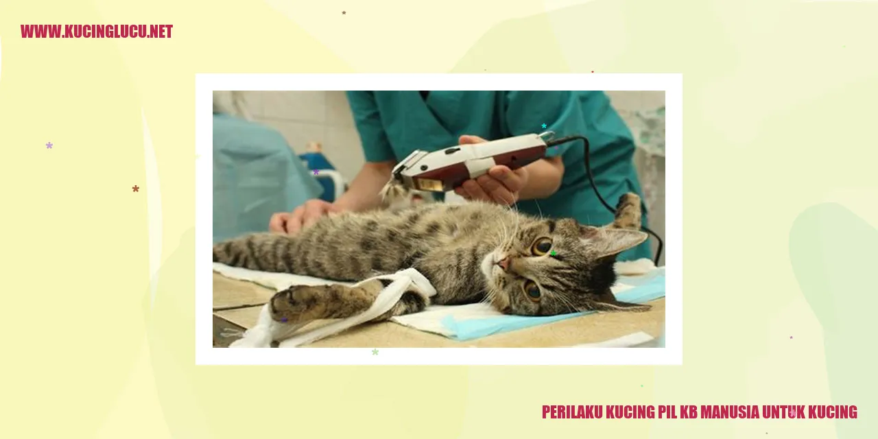 Perilaku Kucing pil kb manusia untuk kucing