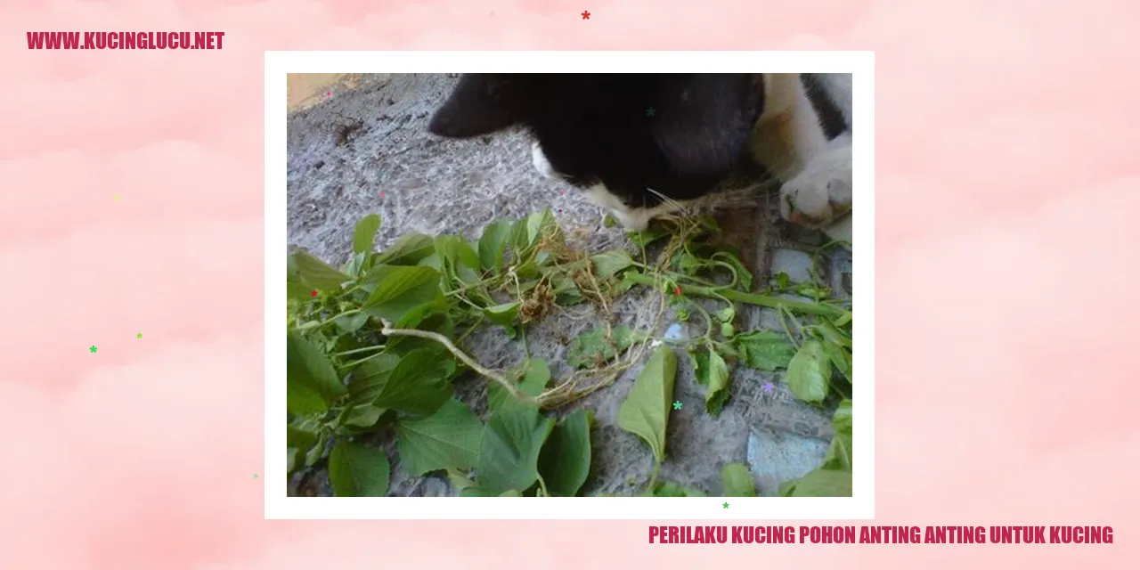 Perilaku Kucing Pohon Anting-Anting untuk Kucing
