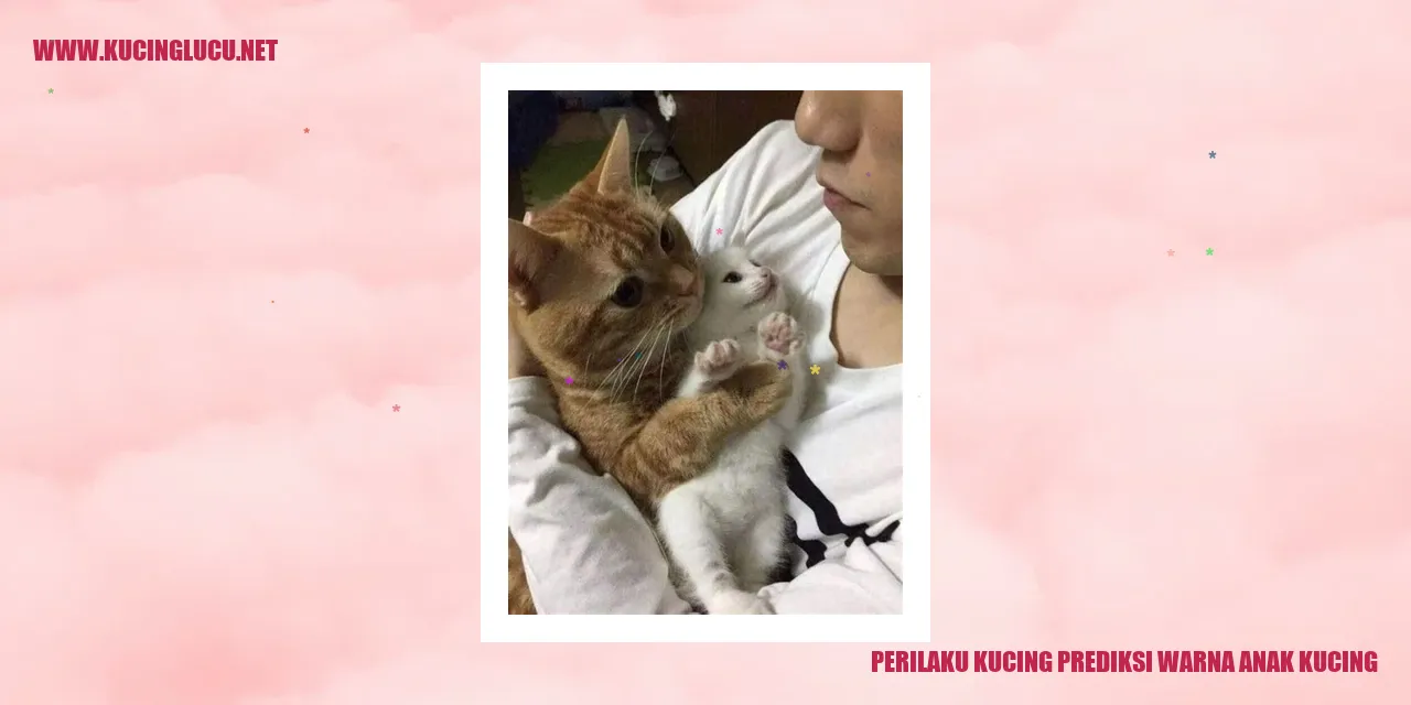 Perilaku Kucing prediksi warna anak kucing
