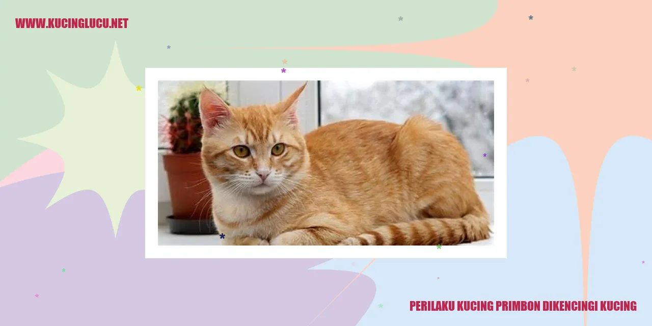 Perilaku Kucing Primbon