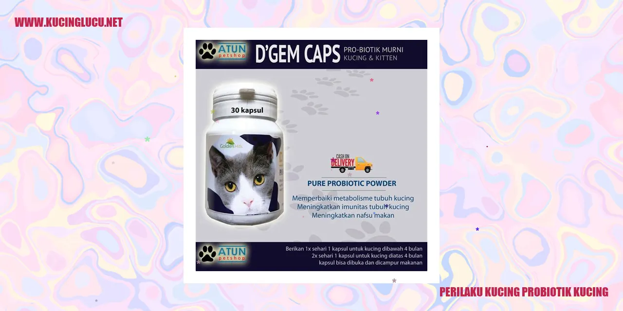 Perilaku Kucing Probiotik Kucing