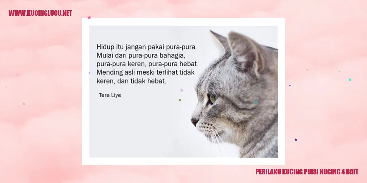 Gambar Kucing