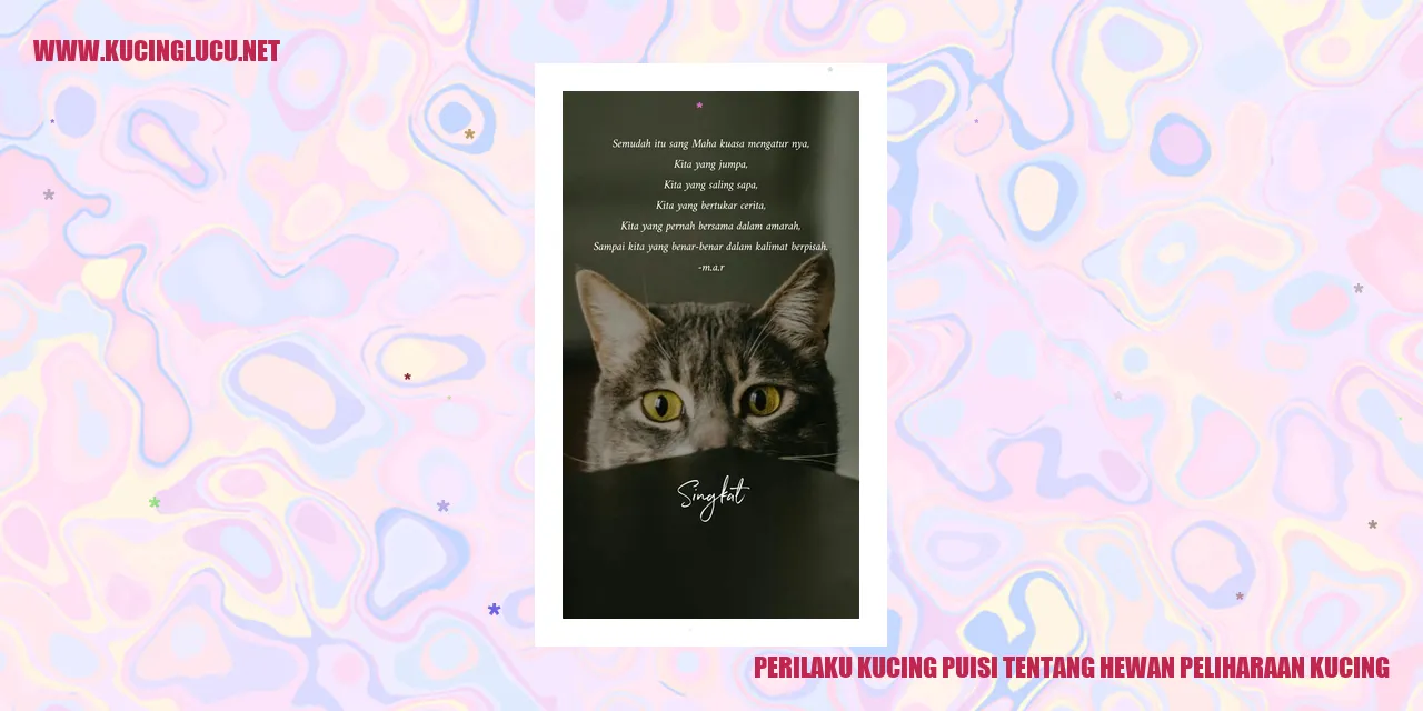 Perilaku Kucing
