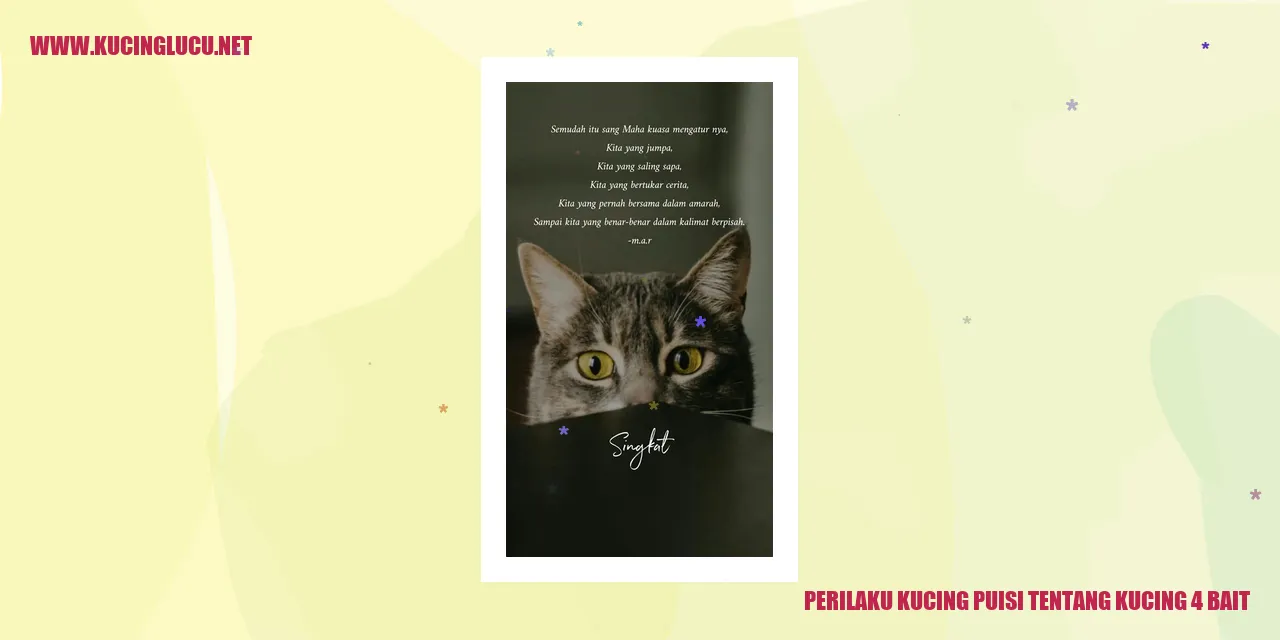 Gambar kucing
