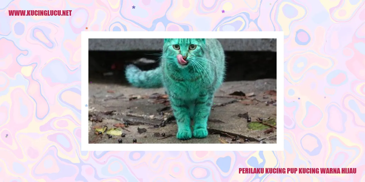 Kucing Pup Warna Hijau