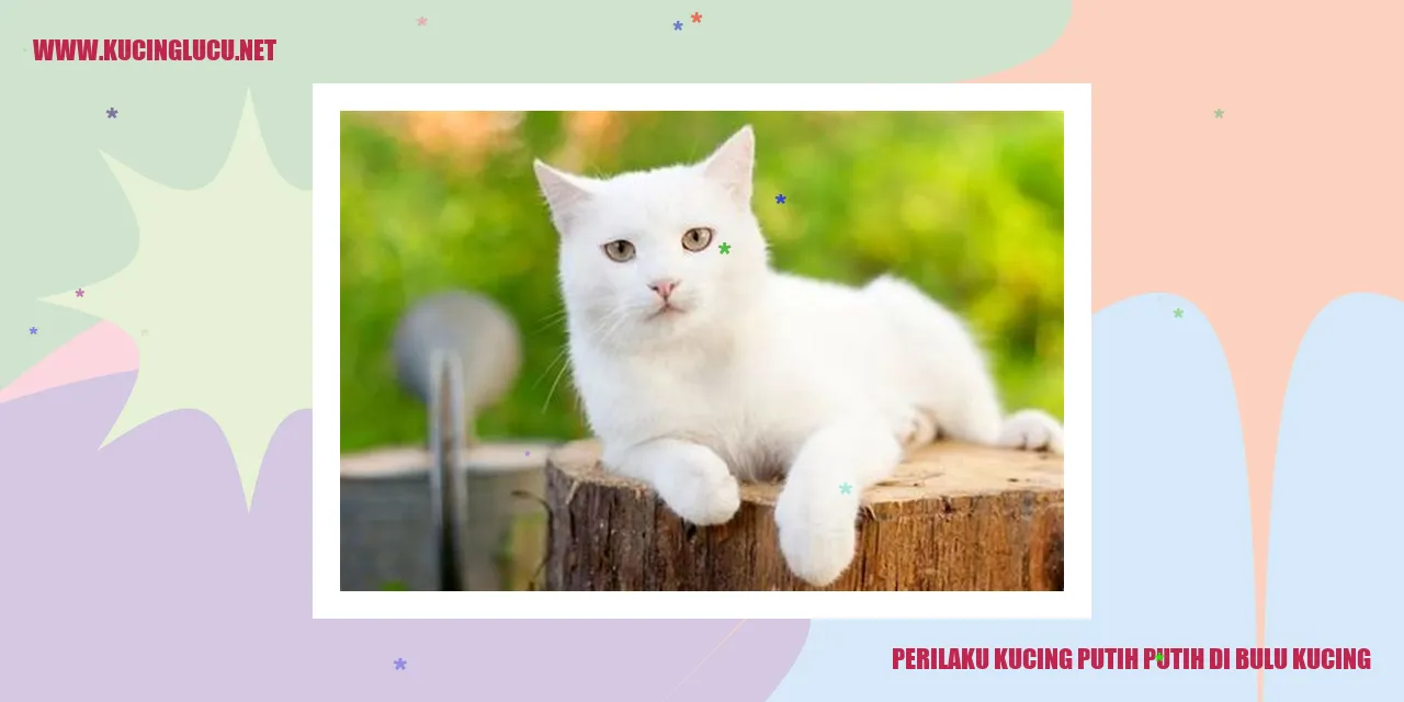 Kucing Putih-Putih di Bulu Kucing