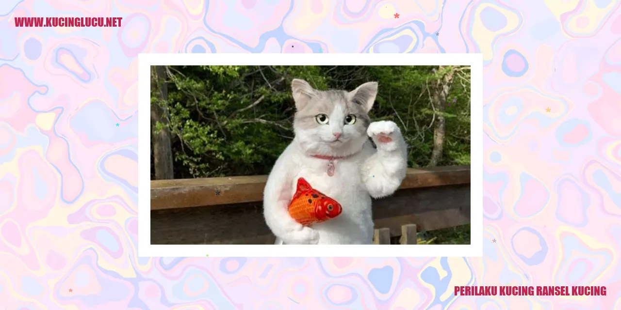 Kucing Ransel Kucing