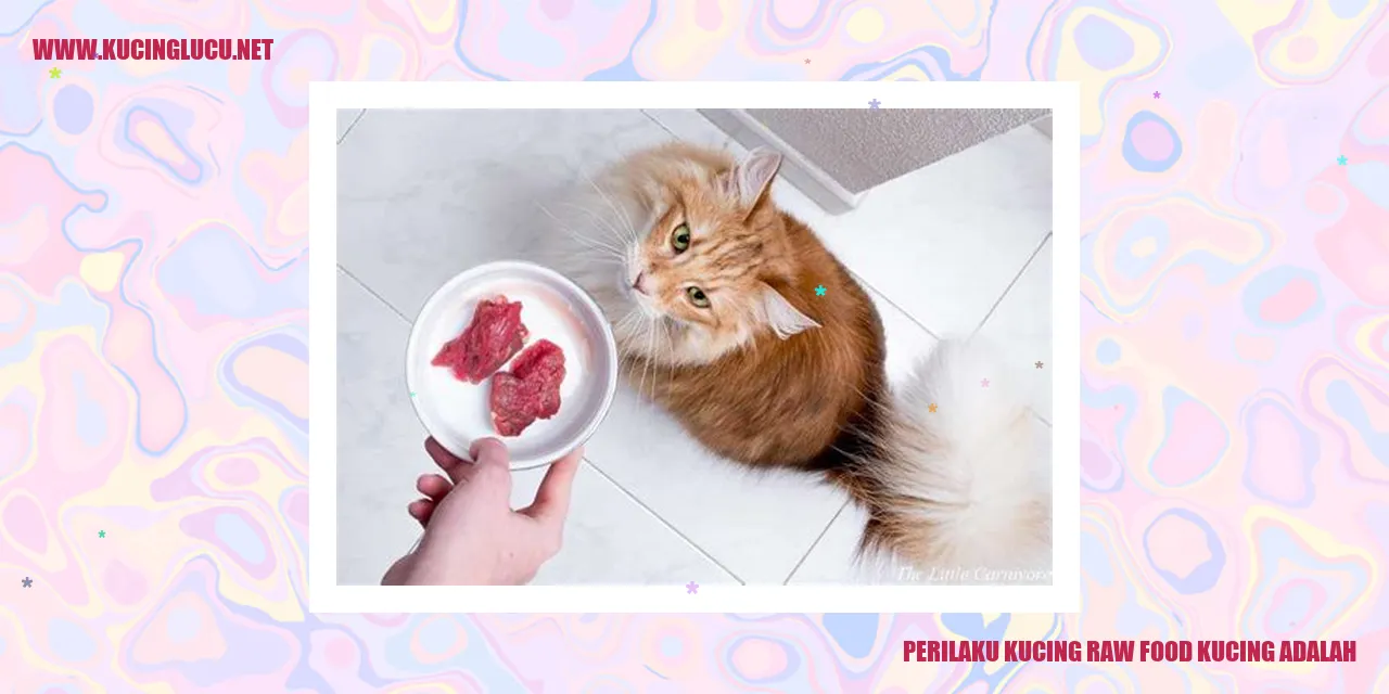 Kucing makan makanan mentah