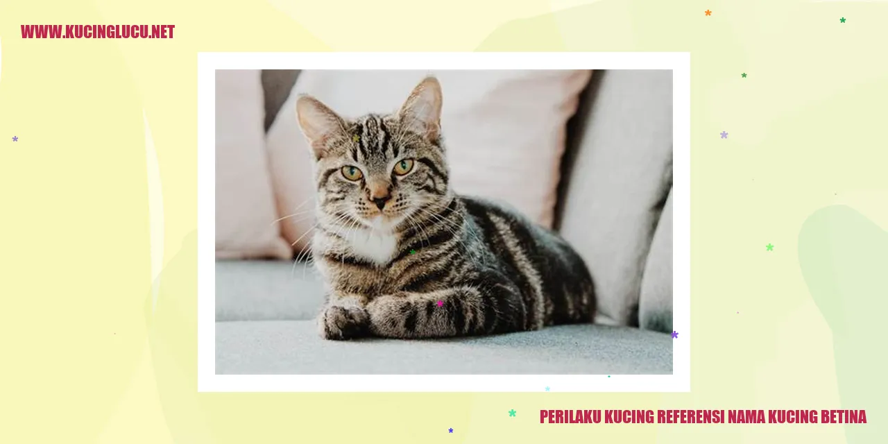 Perilaku Kucing referensi nama kucing betina