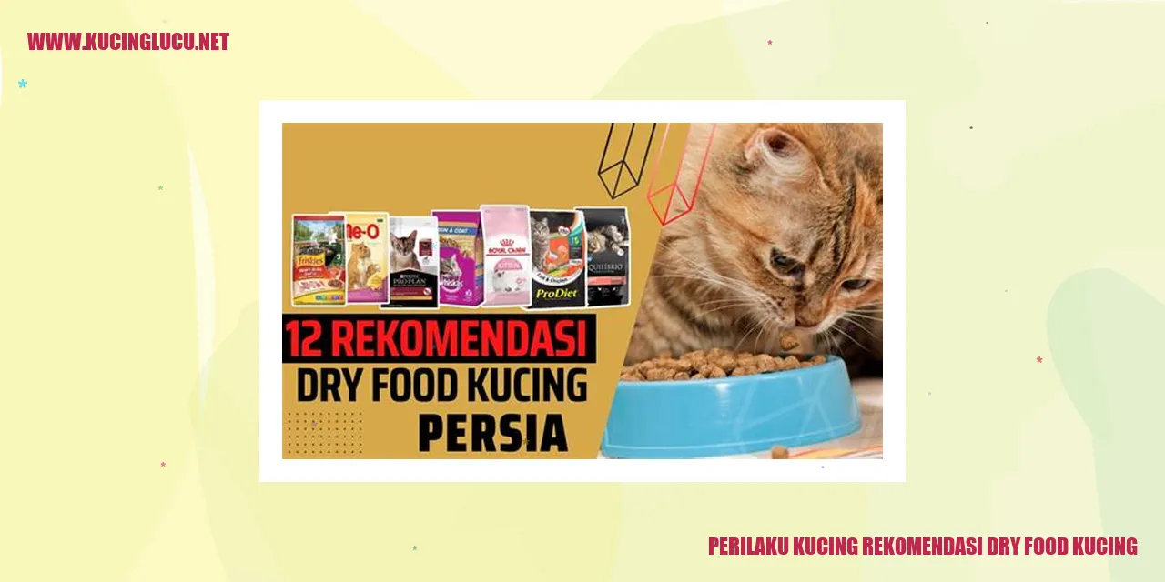 Gambar Kucing