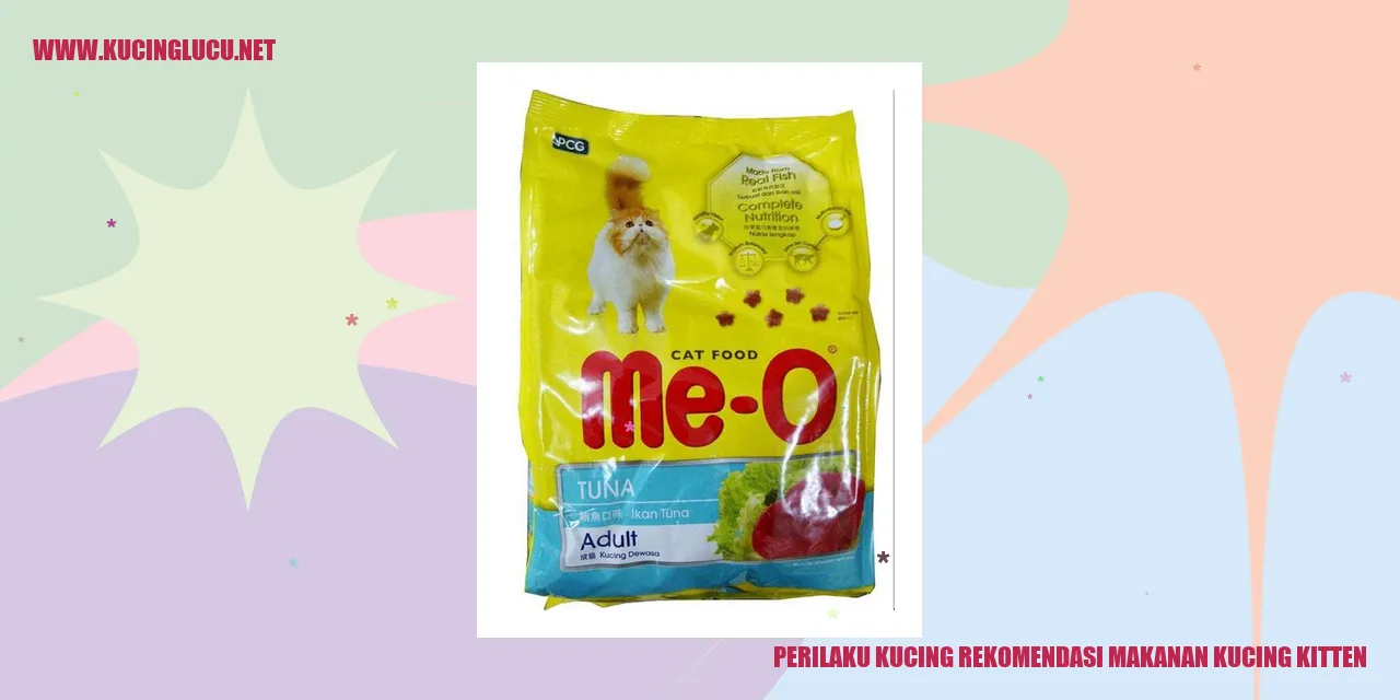 Gambar kucing lucu