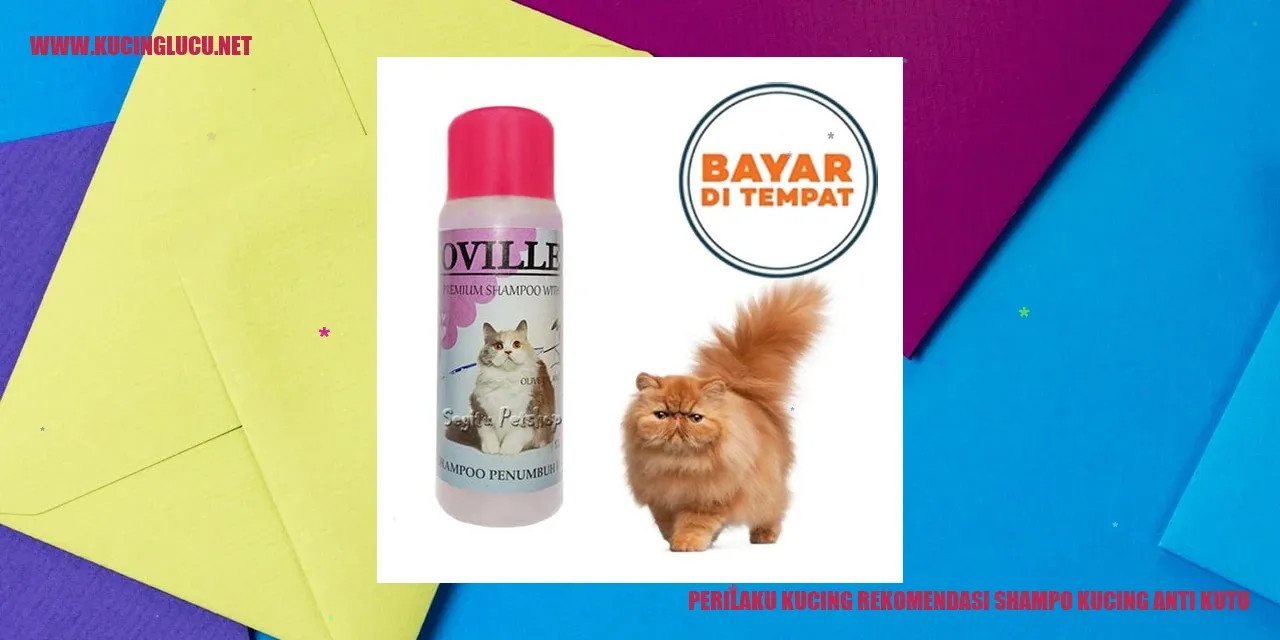 Kucing Menggunakan Shampo