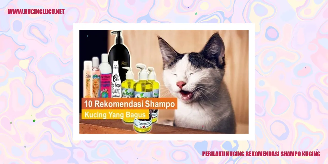 Perilaku Kucing rekomendasi shampo kucing