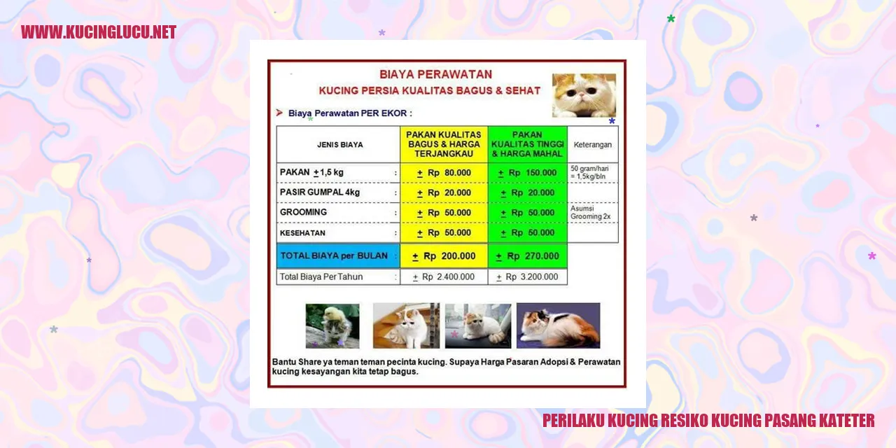 Perilaku Kucing resiko kucing pasang kateter