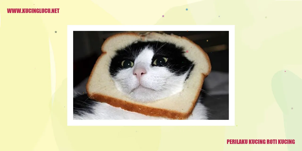 Gambar Kucing Roti Kucing