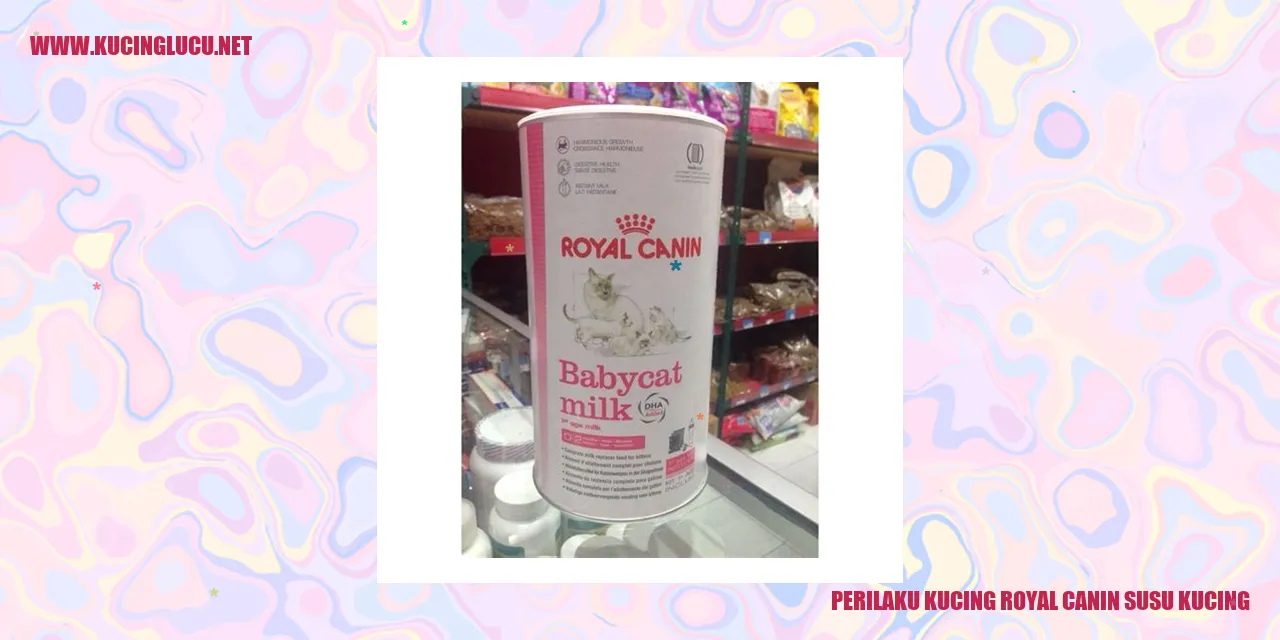 Kucing Royal Canin Susu Kucing