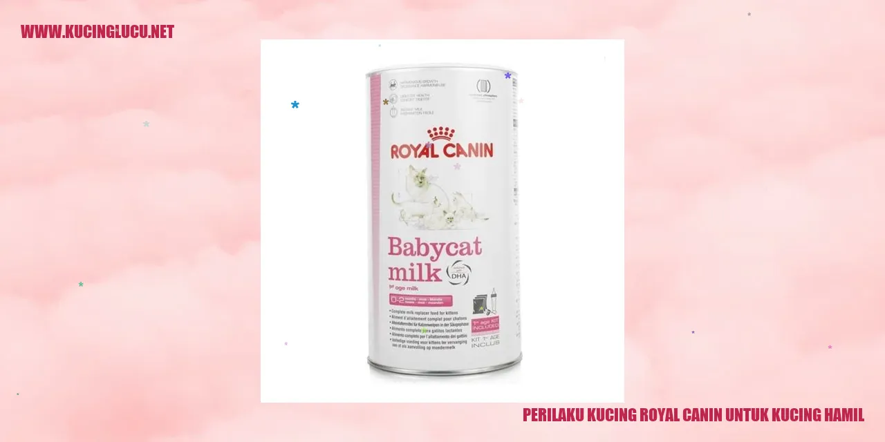 Perilaku Kucing Royal Canin untuk Kucing Hamil