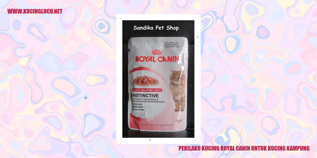 Perilaku Kucing Royal Canin untuk Kucing Kampung