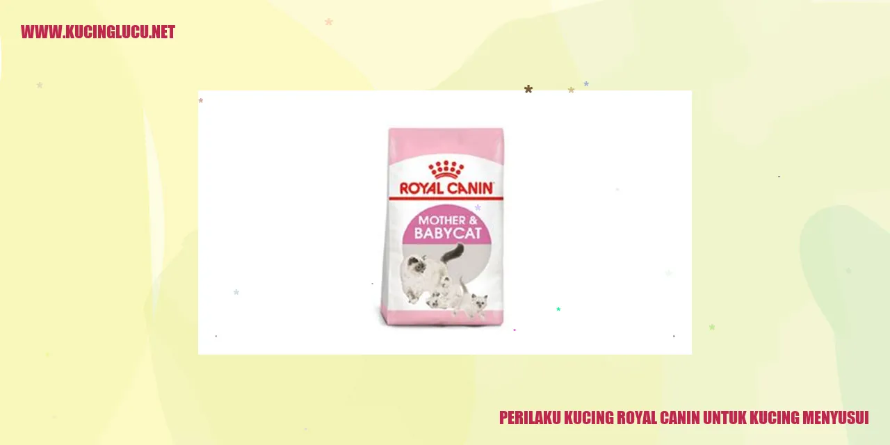 Gambar Kucing Menyusui
