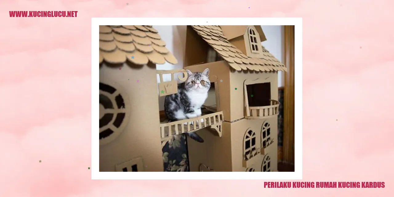 Perilaku Kucing Rumah Kucing Kardus