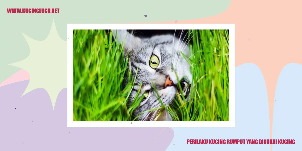 Kucing Rumput Yang Disukai Kucing