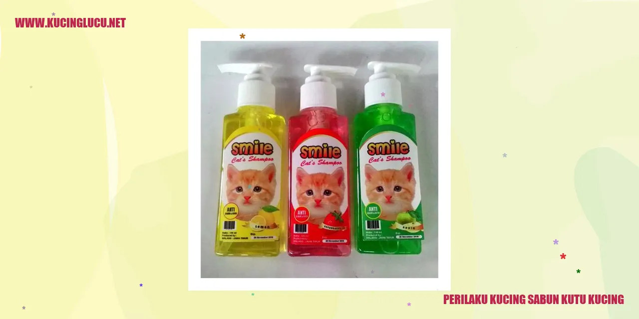 Perilaku Kucing Saat Menggunakan Shampoo Anti Kutu