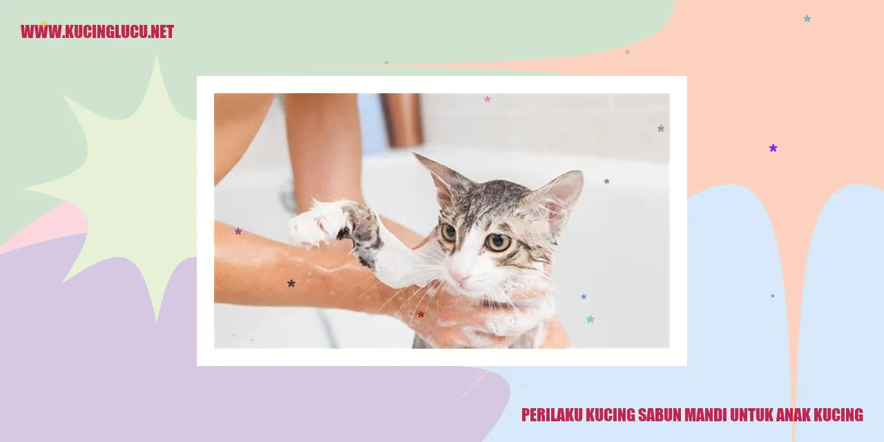 Kucing mandi