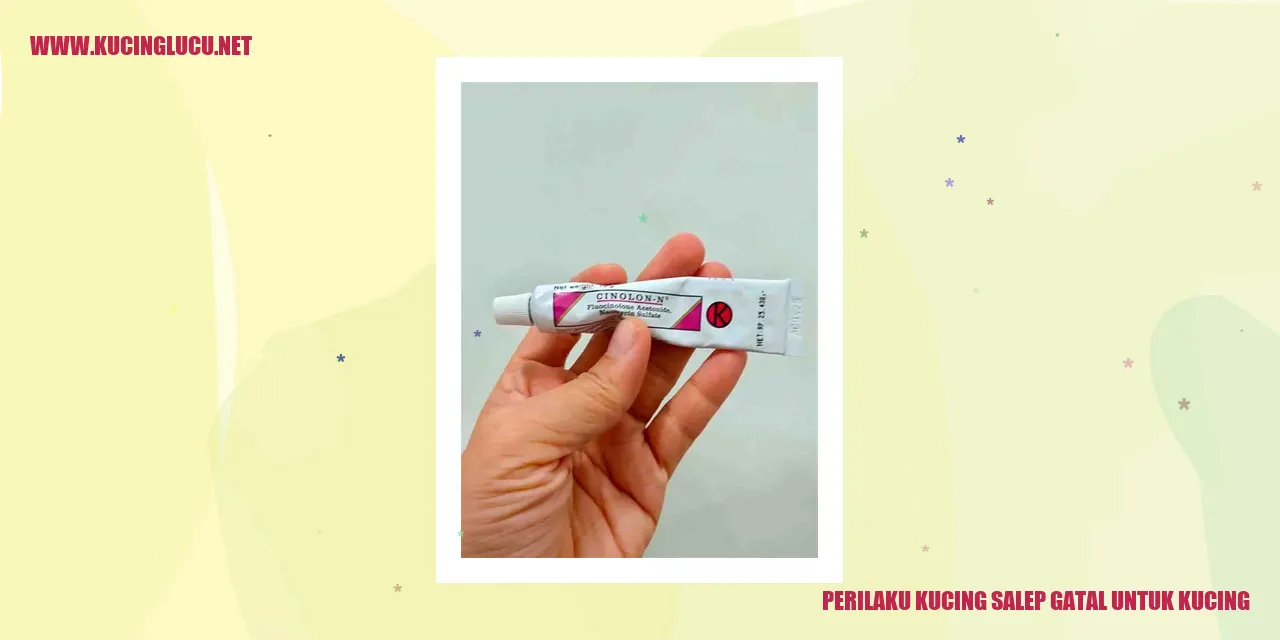 Perilaku Kucing saat Mengalami Gatal-gatal