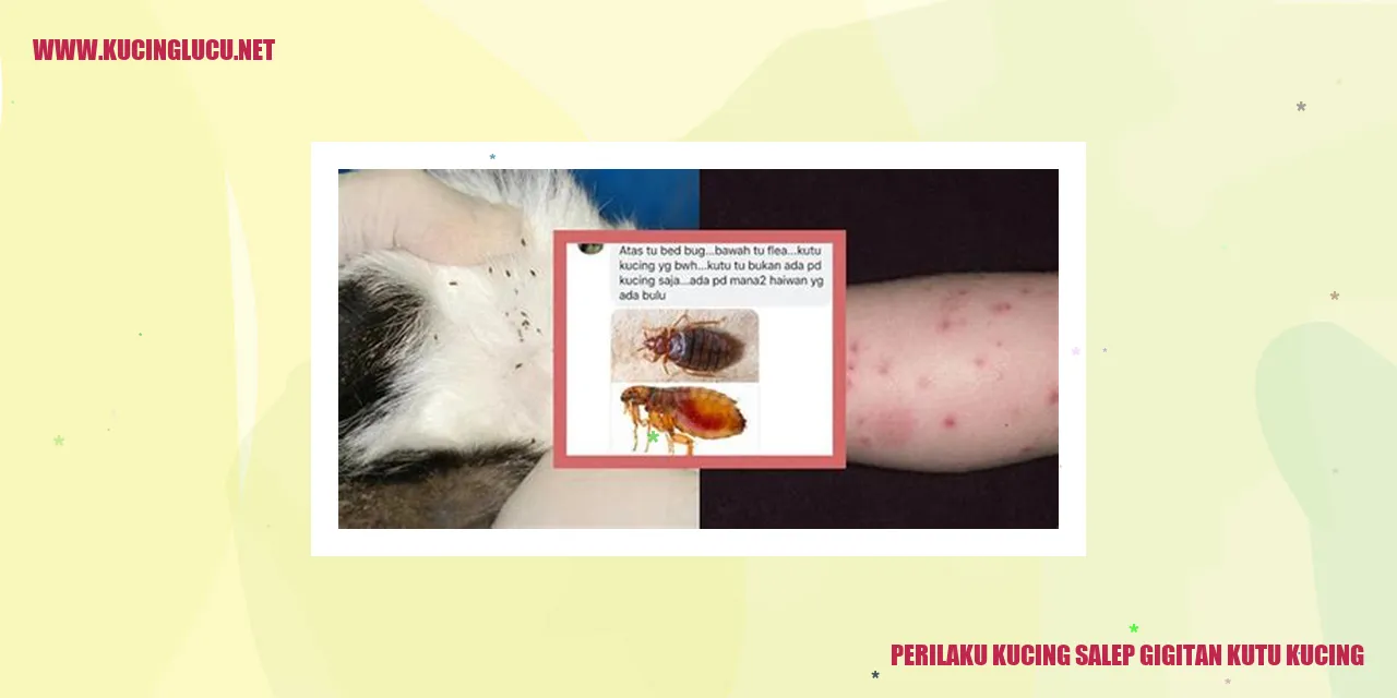 Perilaku Kucing salep gigitan kutu kucing