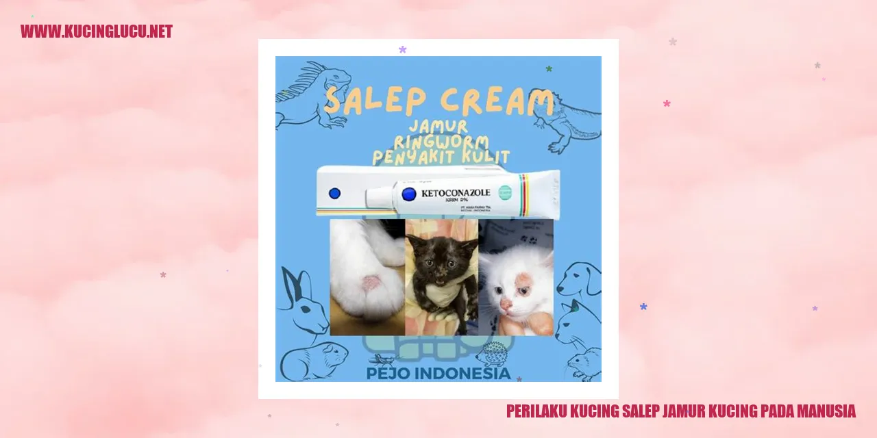 Perilaku Kucing Salep Jamur pada Manusia