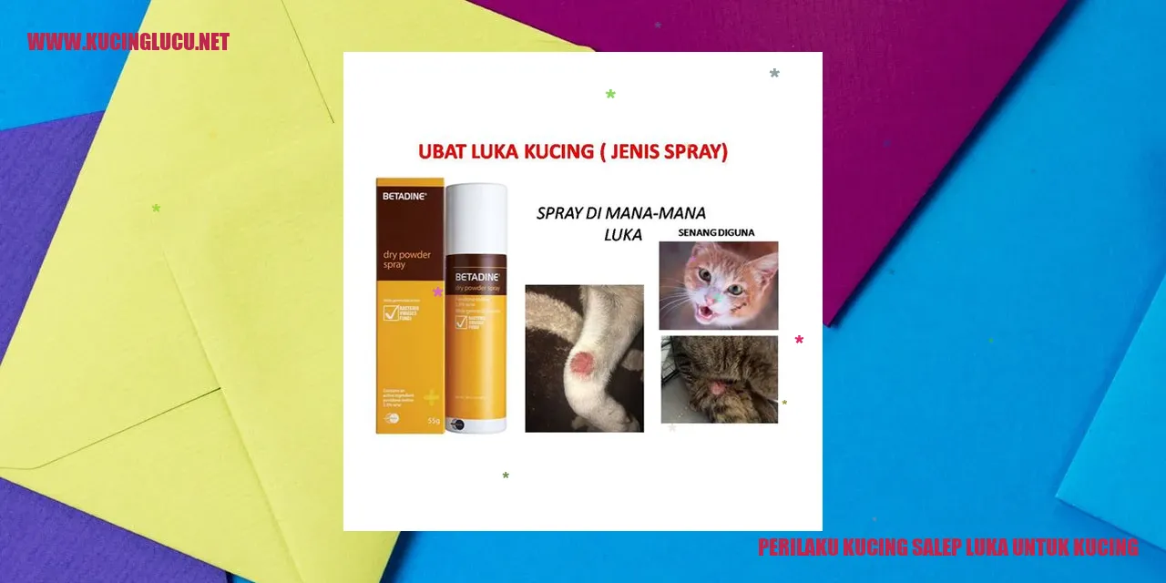 Perilaku Kucing saat Menerima Salep untuk Luka