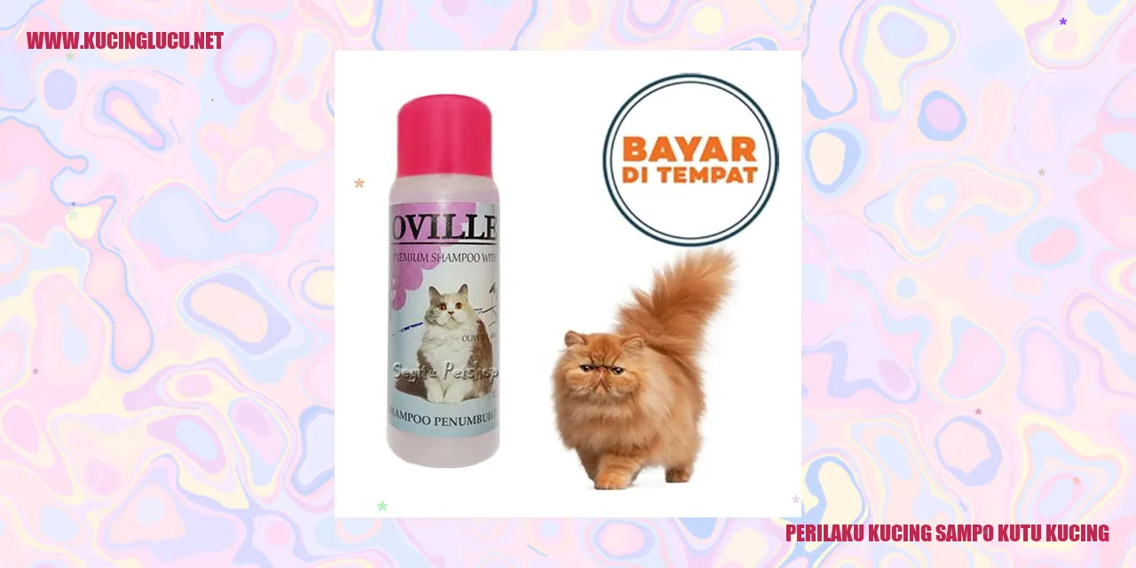 Gambar kucing